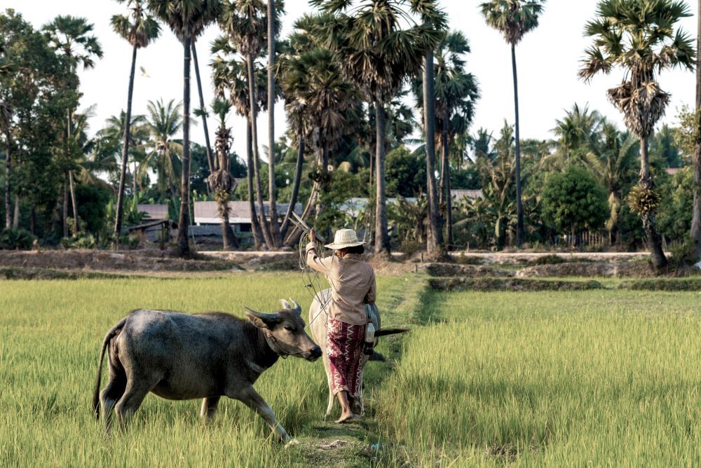 Follow the rhythm of the water – Southeast Asia by ship